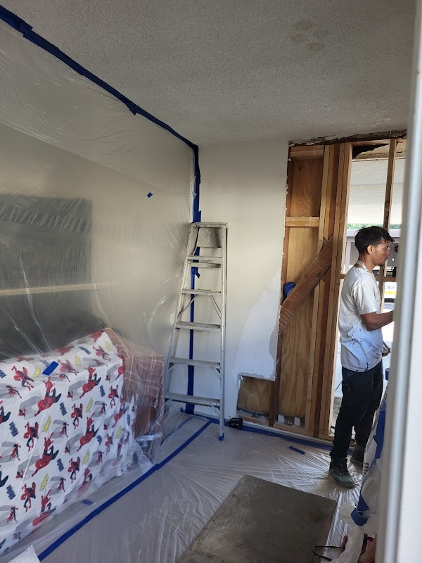 Go Painting project 2