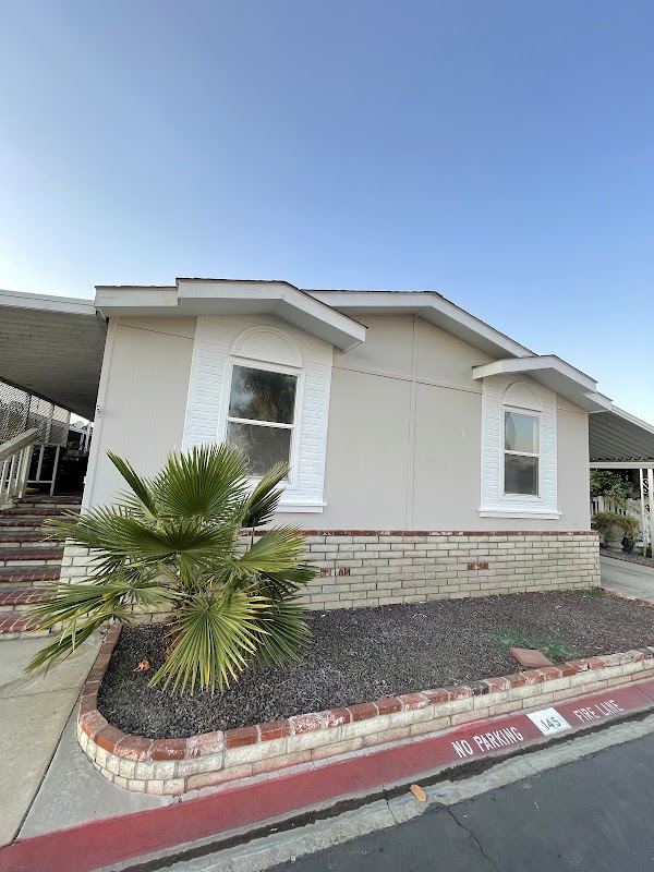 Go Painting project 4